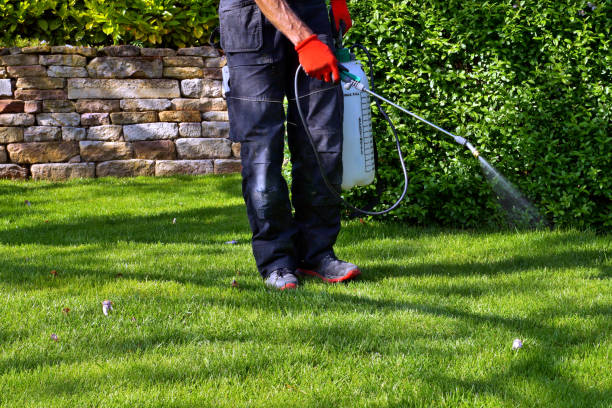 Best Seasonal Pest Control  in Spencerport, NY